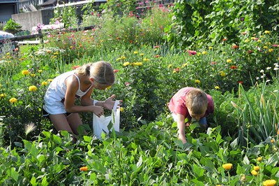 Tutto ciò che può fare la protezione della natura