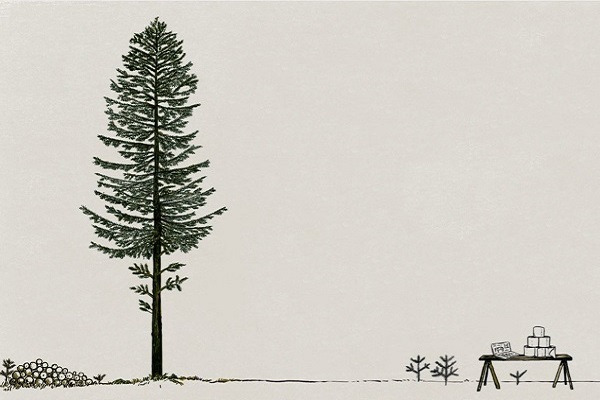 Un albero ha sette vite