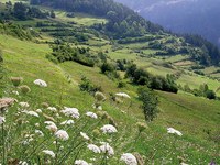 Un sistema di scambio regionale