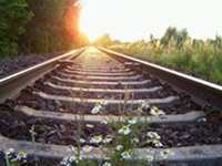 Risoluzione sulla nuova ferrovia di base Torino-Lione per il trasporto ferroviario delle merci tra Francia et Italia