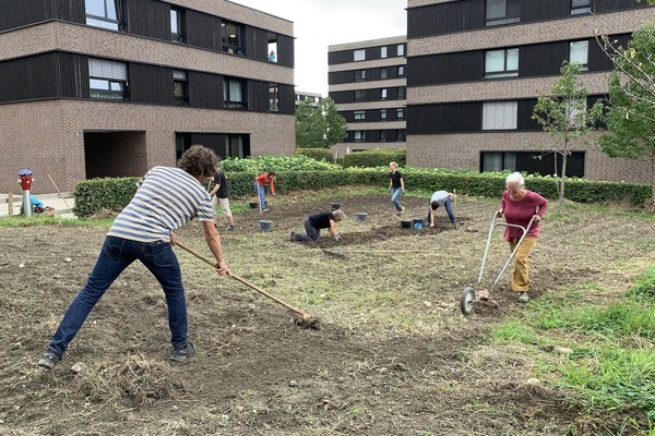 Future Soil Literacy- Futuro del suolo