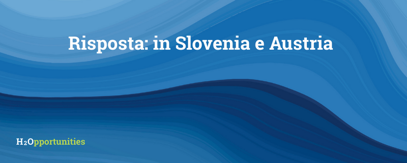 Fonte: www.blue-community.net/2025/03/21/slovenia-the-right-to-water/ e www.bmluk.gv.at/themen/wasser/nutzung-wasser/wasserversorgung/trinkwasser-kommt-in-verfassung.html (consultato il 10/02/2026)