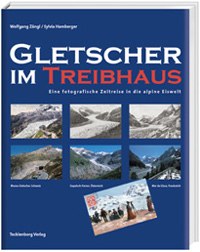 Gletscher im Treibhaus (Ghiacciai sotto serra)