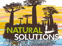 Natural Solutions