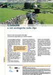 Comuni e reti ecologiche nelle Alpi