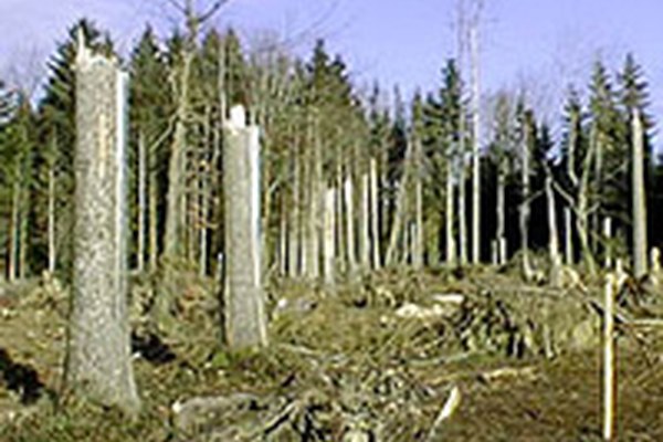 Outil d'alerte contre les intempéries en Autriche