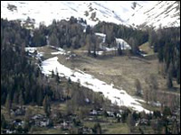 Les dameuses pour les pistes et la neige artificielle menacent la diversité végétale