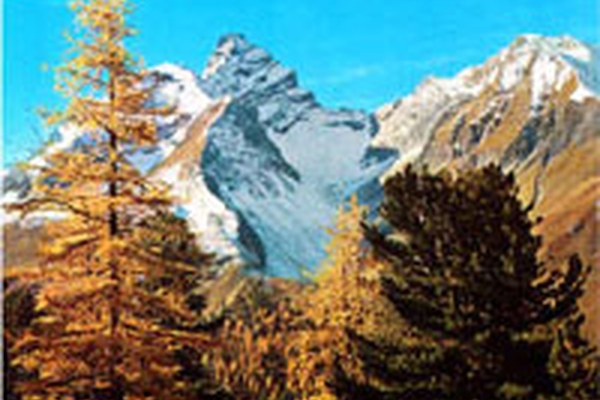 Parc Ela - le plus grand parc naturel régional de Suisse