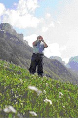 Forum pour la culture populaire suisse d'aujourd'hui