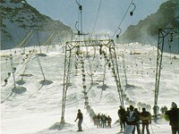 Les pistes de ski : un danger pour les oiseaux