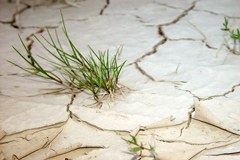 La pénurie d'eau a de lourdes conséquences