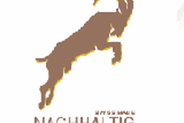 Label Bouquetin pour des auberges de jeunesse suisses