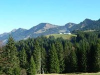 Rencontre au sommet pour les Verts de plusieurs pays