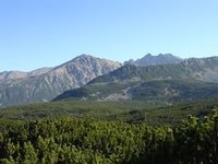 Qualité insuffisante des zones protégées dans l'UE