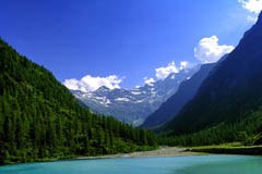 Monte Rosa-Walser Express : WWF et Mountain Wilderness réclament une  réflexion internationale