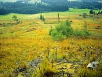 " Allgäuer Moorallianz " gagnant du concours national des grands projets pour la protection de la nature