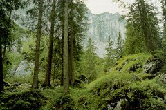 Recherches en faveur du climat