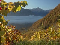 Fondation : le Delinat-Institut d'écologie et climate farming