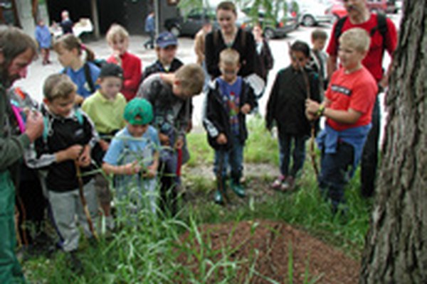 " Communes de l'Alliance " dans la brochure Arge-Alp " Le top 5 "