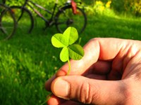 Manifestations compatibles avec l'environnement et la société