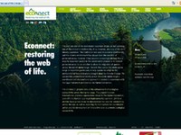 Un site ECONNECT compréhensible et visualisé