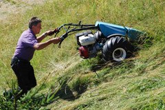 Plus d'argent pour l'agriculture de montagne et l'agriculture biologique