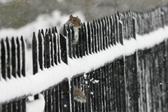 Concours de photographie ECONNECT : " Photographier au-delà de la frontière "