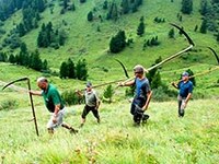 De nouveaux espaces protégés dans les Alpes