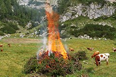 Marketing, scies et moutons pour la protection des alpages