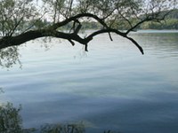 Les États du Rhin alpin contre la fracturation hydraulique sur le lac de Constance