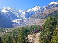 Caravane internationale des glaciers