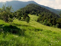 Comment lutter contre le morcellement des terres ?