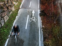 Cours d’eau alpins, biodiversité et mobilité