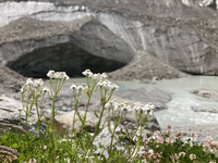 De l’espoir malgré un avenir sans glace