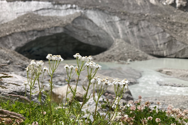 De l’espoir malgré un avenir sans glace