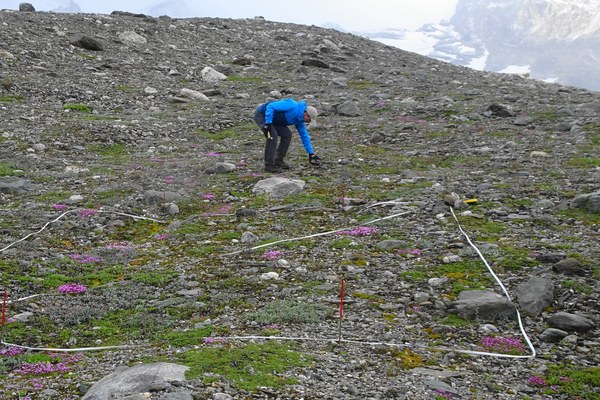 Du vert à la place du blanc – le nouveau visage des glaciers