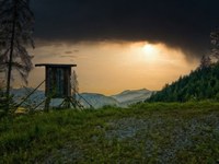 Les nouvelles lois sur la chasse sous les feux de la critique