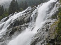 Les services rendus par la nature