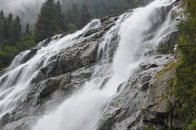 Les services rendus par la nature