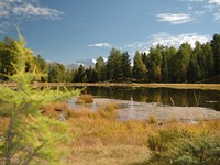 Les tourbières pour sortir du marasme climatique