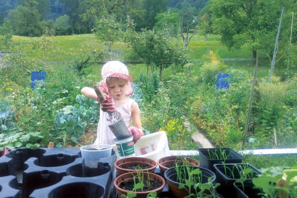 Mon regard sur les Alpes