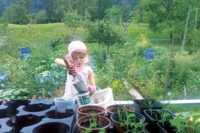 Mon regard sur les Alpes