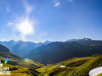 Test de résistance pour la nature