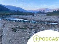 Trop ou trop peu d’eau : sortie dans la forêt Wienerwald