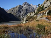 Une décision exemplaire pour la protection des sites marécageux