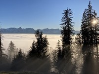 Les paysages alpins ne sont pas renouvelables !