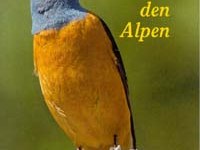 Oiseaux des Alpes