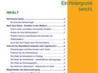 Stürmische Zeiten im Bergwald (Période d'ouragans en forêt de montagne). Rapport de synthèse