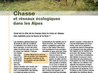 Chasse et réseaux écologiques dans les Alpes