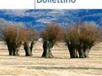 Emeraude – un réseau européen